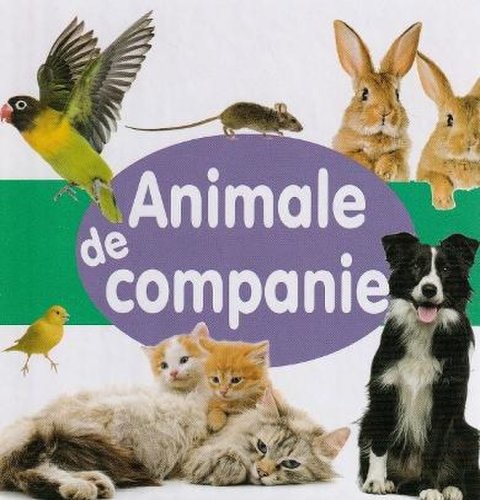 Animale de companie - cartonat