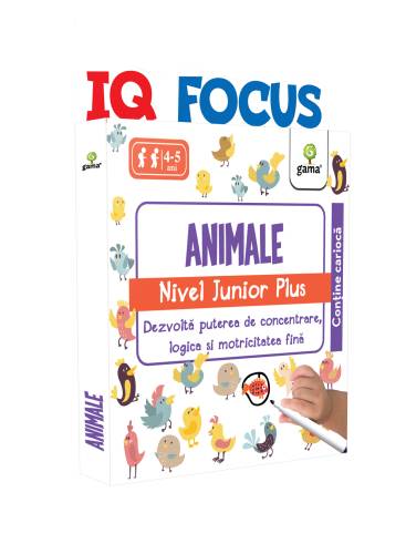 Animale - Nivel Junior Plus | 