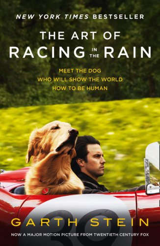 Art of Racing in the Rain | Garth Stein