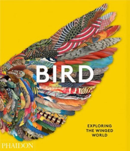 Bird | Jen Lobo, Katrina Grouw