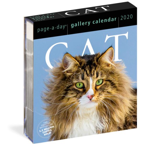 Calendar 2020 - Page-A-Day - Gallery Calendar - Cat | Workman Publishing