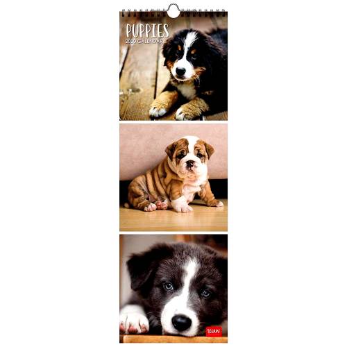 Calendar 2020 - Puppies | Legami