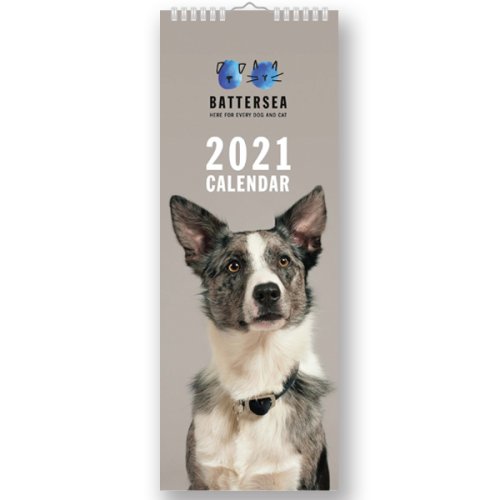 Calendar 2021 - Slim, 12 Month - Battersea - Dogs and Cats | Portico Designs