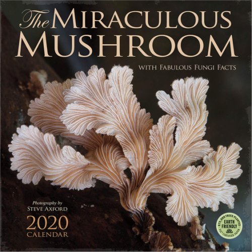 Calendar de perete 2020 - The miraculous mushroom | Amber Lotus Publishing