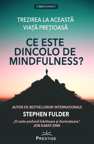 Ce este dincolo de Mindfulness? | Stephen Fulder