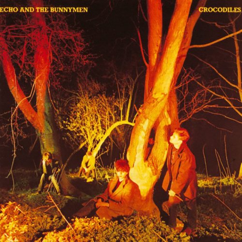Crocodiles - Vinyl | Echo And The Bunnymen