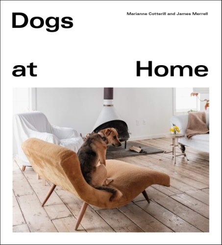Dogs at Home | Marianne Cotterill
