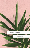 Evening Primrose: a heart-wrenching novel for our times | Kopano Matlwa