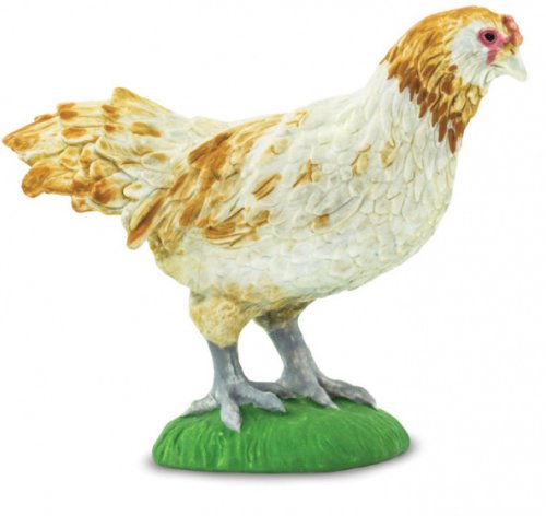 Figurina - ameraucana chicken | safari