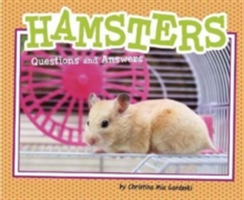 Hamsters | Christina Mia Gardeski
