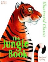 Illustrated Classic: Jungle Book | Rudyard Kipling