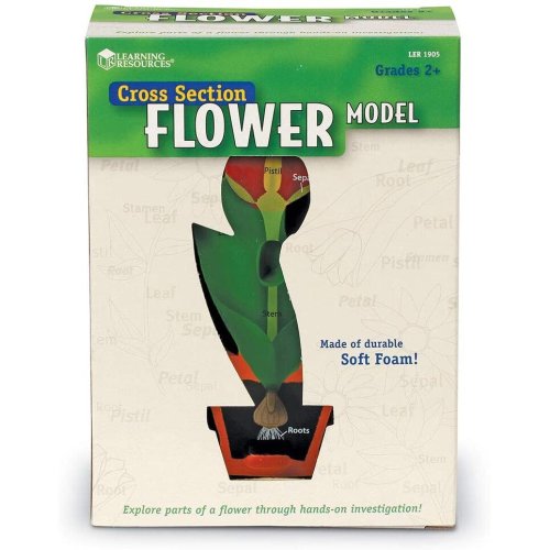 Jucarie educativa - Model De Sectiune A Florii | Learning Resources