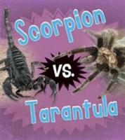 Scorpion vs. tarantula | isabel thomas