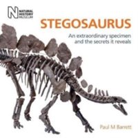 Stegosaurus | Paul M. Barrett