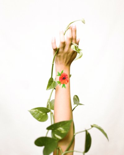 Tatuaj temporar - Martisor - Floare de mac | Ana-Maria Galeteanu Ilustrator