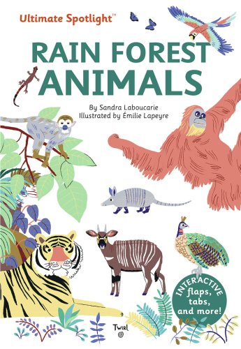 Ultimate Spotlight: Rain Forest Animals | Sandra Laboucarie