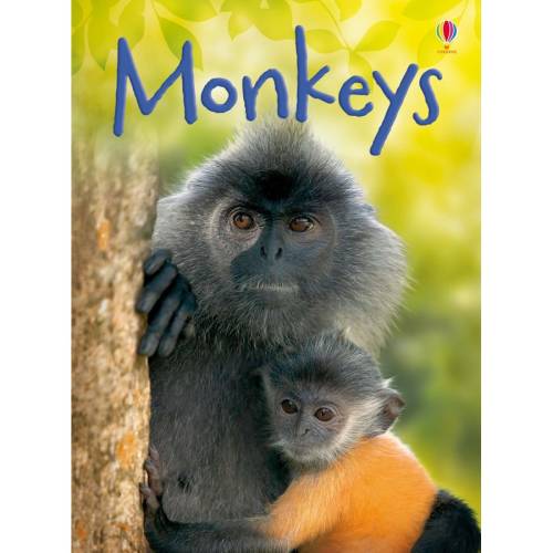 Usborne Monkeys - Carte Usborne (4+)