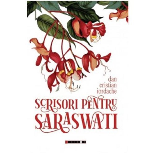Scrisori pentru saraswati - Dan Cristian Iordache