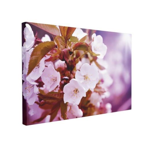 Tablou Canvas Cherry Blossoms, 50 x 70 cm, 100% Bumbac