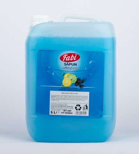 Sapun lichid albastru parfumat Fabi canistra 5L