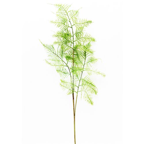 Floare feriga verde 87 cm 