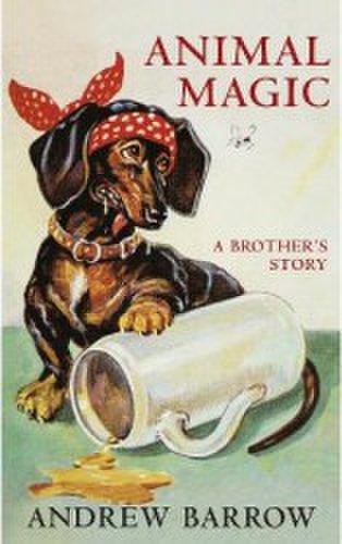 Animal Magic A Brothers Story - Andrew Barrow