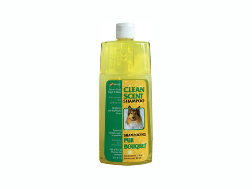 Sampon caine Clean Scent, 355 ml
