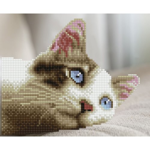 Tablou cu diamante – Pisicuța visătoare, 25 x 20 cm