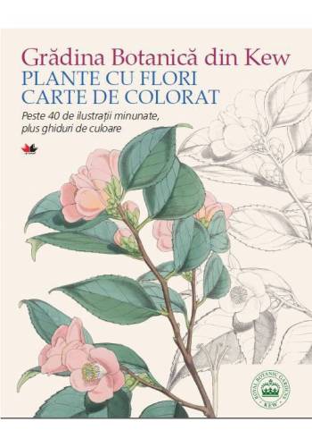 Gradina botanica din kew. plante cu flori - carte de colorat pentru adulti