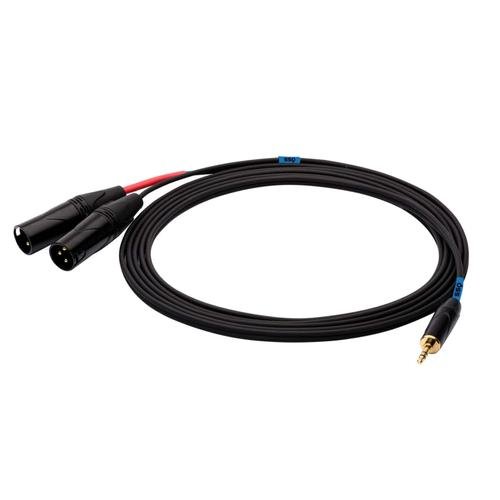 Cablu audio SSQ, Jack 3.5 mm - 2xXLR tata, 3 m, Negru