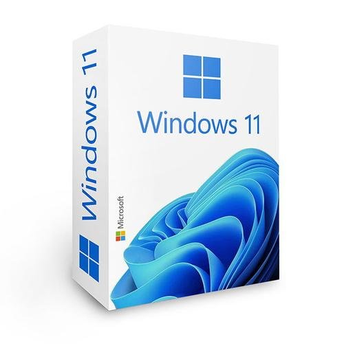 Licenta Electronica Microsoft Windows 11 Professional Retail ESD