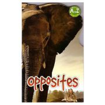 Opposites. A to Z learning
