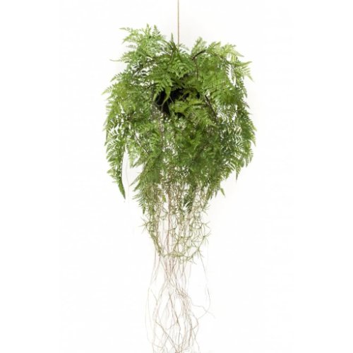 Emerald ferigă artificială suspendată cu rădăcini, 35 cm 