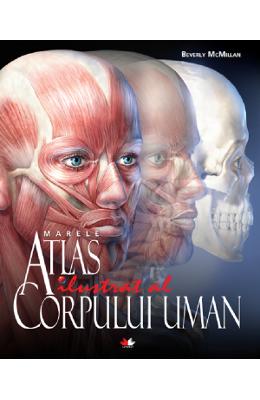 Marele atlas ilustrat al corpului uman - beverly mcmillan