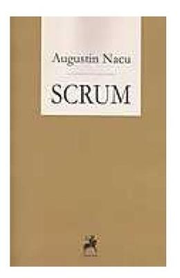 Scrum - Augustin Nacu