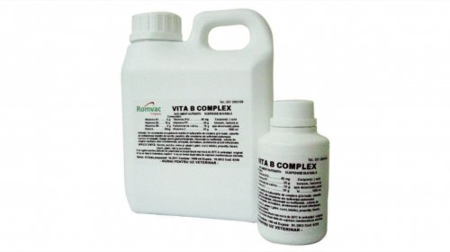 VITA B COMPLEX 1000 ml