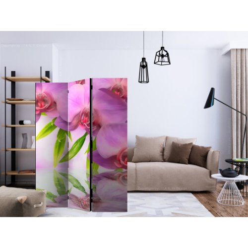 Paravan Orchid Spa [Room Dividers] 135 cm x 172 cm