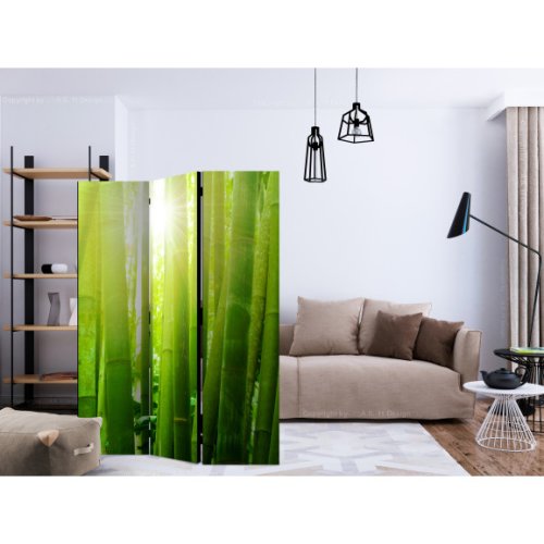 Paravan Sun and bamboo 135 x 172 cm