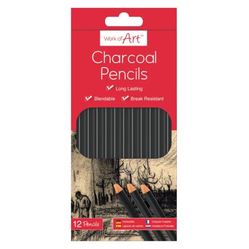 12 charcoal pencils
