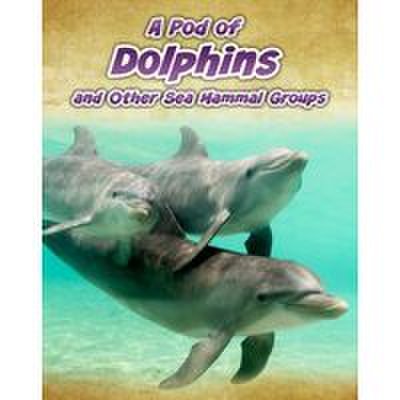 A Pod of Dolphins, and Other Sea Mammal Groups