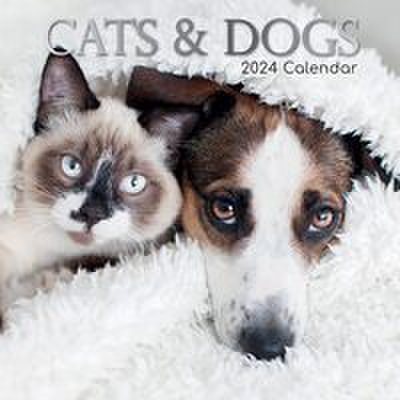 Cats & Dogs - 2024 Square Wall Calendar