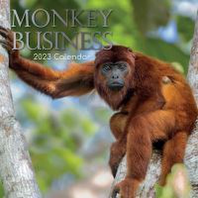 Monkey Business Calendar 2023