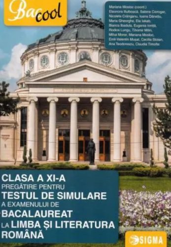 Pregatire pentru testul de simulare a examenului de Bacalaureat 2017 la Limba si literatura romana din clasa a XI-a - coordonator Mariana Mostoc
