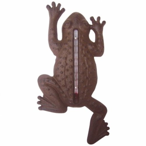 Termometru Frog, Esschert Design, 23.5 x 12 x 1.6 cm, fonta, maro