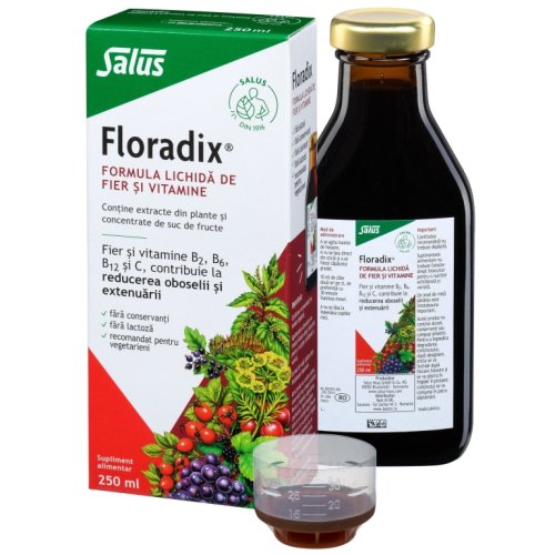 Elixir plante medicinale fructe fier vitamine Floradix 250ml - SALUS HAUS