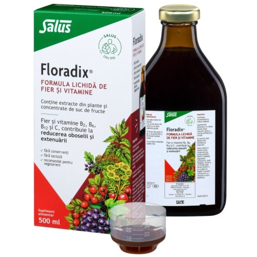 Elixir plante medicinale fructe fier vitamine Floradix 500ml - SALUS HAUS